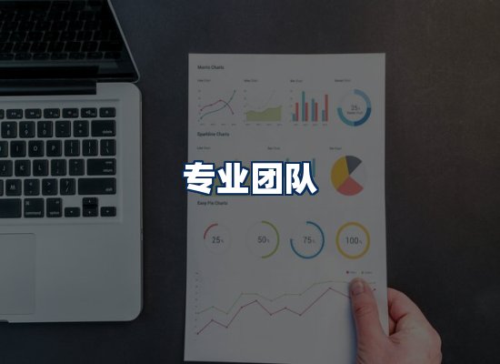 专业团队